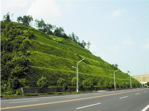 矿山生态修复主要发展方向